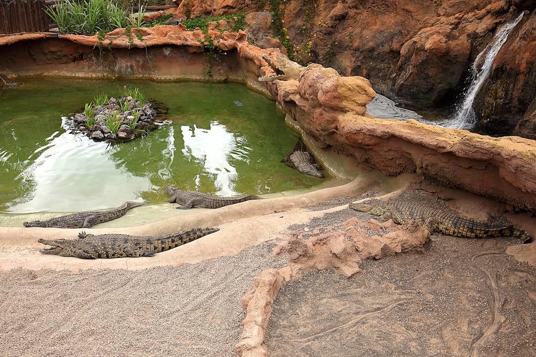 Ogród Zoologiczny Rancho Texas